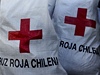 Zemtesení v Chile, pomoc pro postiené